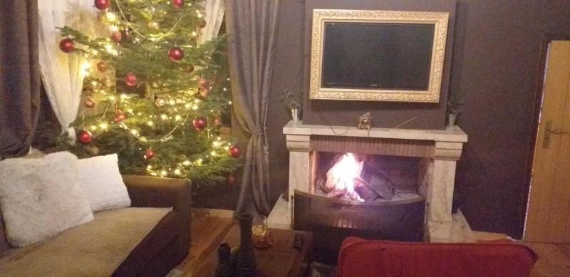 Elena'S Villa Chrysomiléa Eksteriør bilde